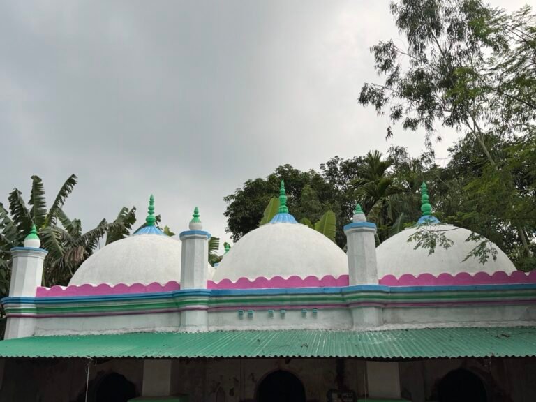 সংস্কার কাজের দৈনিক খরচের বিবরণ